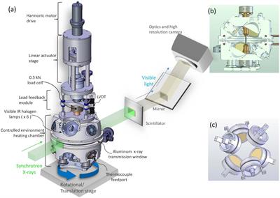 The Effects of Deformation on the Early Crystallization Kinetics of Basaltic Magmas